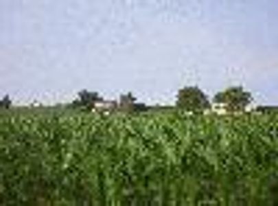 starfromafar Profile Photo